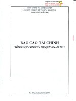 Báo cáo tài chính công ty mẹ quý 4 năm 2012 - Công ty cổ phần Bê tông và Xây dựng Vinaconex Xuân Mai