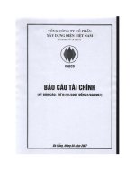 Báo cáo tài chính công ty mẹ quý 1 năm 2007 - Tổng công ty Cổ phần Xây dựng điện Việt Nam