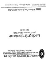 Báo cáo tài chính quý 4 năm 2007 - Công ty Cổ phần Thủy điện Vĩnh Sơn - Sông Hinh