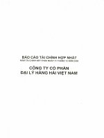 Báo cáo tài chính hợp nhất năm 2008 (đã kiểm toán) - Công ty cổ phần Đại lý Hàng hải Việt Nam