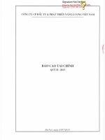 Báo cáo tài chính quý 2 năm 2013 - Công ty Cổ phần Đầu tư và Phát triển Năng lượng Việt Nam