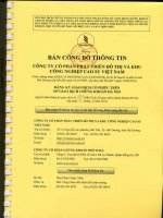 Bản cáo bạch - CTCP Phát triển đô thị và Khu công nghiệp Cao su Việt Nam
