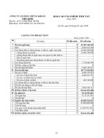 Báo cáo tài chính năm 2007 - Công ty Cổ phần Chứng khoán Việt Quốc