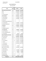 Báo cáo tài chính quý 1 năm 2010 - Công ty Cổ phần Thép Việt Ý