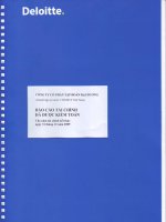 Báo cáo tài chính công ty mẹ năm 2009 (đã kiểm toán) - Công ty Cổ phần Tập đoàn Đại Dương
