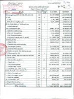 Báo cáo tài chính quý 1 năm 2011 - Công ty Cổ phần Thép Việt Ý