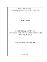 Nghiên cứu sự chuyển đổi chức năng  Nghĩa từ vựng trong tiếng Việt