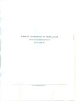Báo cáo tài chính hợp nhất quý 4 năm 2012 - Công ty cổ phần Đầu tư và Thương mại VNN