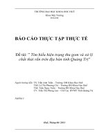 Tìm hiểu hiện trạng thu gom và xử lý chất thải rắn trên địa bàn tỉnh quảng trị
