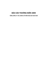 Báo cáo thường niên năm 2010 - Tổng Công ty Tài chính Cổ phần Dầu khí Việt Nam