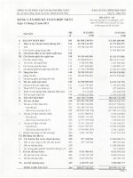 Báo cáo tài chính hợp nhất quý 4 năm 2012 - Công ty cổ phần Vận tải đa phương thức