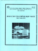 Báo cáo tài chính hợp nhất quý 1 năm 2015 - Công ty Cổ phần Lương thực Thực phẩm Vĩnh Long