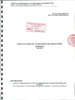 Báo cáo tài chính công ty mẹ năm 2010 (đã kiểm toán) - Công ty Cổ phần Đầu tư và Xây dựng Cấp thoát nước
