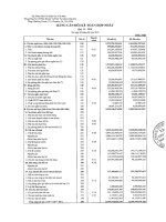 Báo cáo tài chính hợp nhất quý 2 năm 2010 - Tổng Công ty Cổ phần Khoan và Dịch vụ Khoan Dầu khí