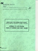 Báo cáo tài chính hợp nhất năm 2009 (đã kiểm toán) - Công ty cổ phần Đại lý Hàng hải Việt Nam