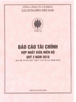 Báo cáo tài chính hợp nhất quý 2 năm 2010 - Tổng công ty Cổ phần Xây dựng điện Việt Nam