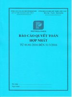 Báo cáo tài chính hợp nhất quý 1 năm 2016 - Công ty Cổ phần Vận tải Xăng dầu VIPCO