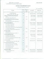 Báo cáo tài chính công ty mẹ quý 1 năm 2011 - Công ty Cổ phần Đầu tư và Xây dựng Cấp thoát nước