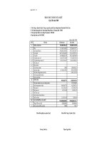 Báo cáo tài chính quý 3 năm 2008 - Quỹ Đầu tư Cân bằng Prudential