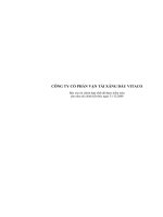 Báo cáo tài chính hợp nhất năm 2008 (đã kiểm toán) - Công ty Cổ phần Vận tải Xăng dầu VITACO