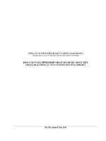 Báo cáo tài chính hợp nhất quý 2 năm 2011 (đã soát xét) - Công ty Cổ phần Khách sạn và Dịch vụ Đại Dương