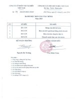 Báo cáo tài chính công ty mẹ quý 4 năm 2015 - Công ty Cổ phần Vận tải biển Việt Nam