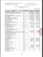 Báo cáo tài chính quý 3 năm 2012 - Công ty TNHH Chứng khoán Ngân hàng TMCP Việt Nam Thịnh Vượng