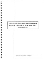 Báo cáo tài chính năm 2009 (đã kiểm toán) - Công ty cổ phần Đầu tư Bất động sản Việt Nam