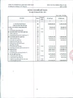 Báo cáo tài chính công ty mẹ quý 2 năm 2013 - Công ty Cổ phần Du lịch Thành Thành Công