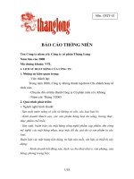 Báo cáo thường niên năm 2008 - Công ty Cổ phần Vang Thăng Long