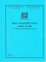Báo cáo tài chính công ty mẹ quý 1 năm 2016 - Công ty Cổ phần Vận tải Xăng dầu VIPCO