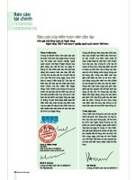 Báo cáo tài chính năm 2005 (đã kiểm toán) - Ngân hàng Thương mại Cổ phần Việt Nam Thịnh Vượng