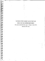 Báo cáo tài chính hợp nhất năm 2014 - Tập đoàn Công nghiệp Cao su Việt Nam