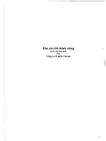 Báo cáo tài chính công ty mẹ quý 1 năm 2011 - Tập đoàn Vingroup - Công ty Cổ phần
