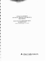 Báo cáo tài chính năm 2007 - Công ty Cổ phần Sản xuất Thương mại Dịch vụ Phú Phong