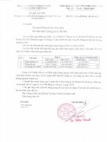 Báo cáo tài chính quý 1 năm 2015 - Công ty Cổ phần Đầu tư và Phát triển Năng lượng Việt Nam