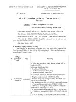 Báo cáo tình hình quản trị công ty - Công ty cổ phần Tập đoàn Container Việt Nam