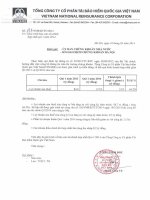 Báo cáo tài chính hợp nhất quý 1 năm 2014 - Tổng Công ty Cổ phần Tái bảo hiểm quốc gia Việt Nam