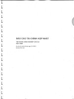Báo cáo tài chính hợp nhất năm 2013 (đã kiểm toán) - Tập đoàn Công nghiệp Cao su Việt Nam