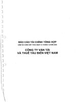 Báo cáo tài chính năm 2006 (đã kiểm toán) - Công ty Cổ phần Vận tải và Thuê tàu biển Việt Nam