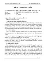 Báo cáo thường niên năm 2007 - Tổng công ty Cổ phần Xây dựng điện Việt Nam