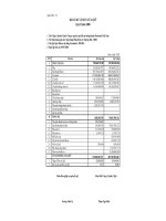 Báo cáo tài chính quý 2 năm 2008 - Quỹ Đầu tư Cân bằng Prudential