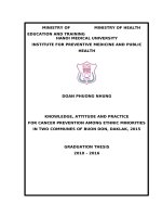 KNOWLEDGE, ATTITUDE AND PRACTICE FOR CANCER PREVENTION AMONG ETHNIC MINORITIES IN TWO COMMUNES OF BUON DON, DAKLAK, 2015 