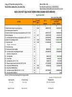 Báo cáo tài chính quý 3 năm 2010 - Công ty Cổ phần Phát triển Hạ tầng Vĩnh Phúc