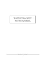 Báo cáo tài chính năm 2010 (đã kiểm toán) - Công ty Cổ phần Phát triển Hạ tầng Vĩnh Phúc