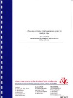 Báo cáo tài chính năm 2010 (đã kiểm toán) - Công ty Cổ phần Chứng khoán Quốc tế Hoàng Gia