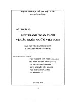 Bức tranh toàn cảnh về các ngôn ngữ ở việt nam 