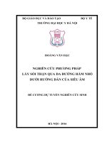 NGHIÊN cứu PHƯƠNG PHÁP lấy sỏi THẬN QUA DA ĐƯỜNG hầm NHỎ dưới HƯỚNG dẫn của SIÊU âm 