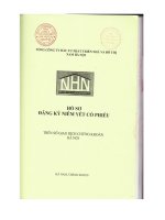 Bản cáo bạch - Tổng Công ty Đầu tư Phát triển Nhà và Đô thị Nam Hà Nội