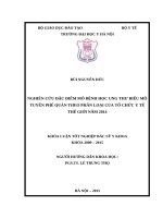 NGHIÊN cứu đặc điểm mô BỆNH học UNG THƯ BIỂU mô TUYẾN PHẾ QUẢN THEO PHÂN LOẠI của tổ CHỨC y tế THẾ GIỚI năm 2014 
